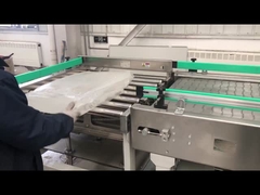 Sistema di dissoluzione automatico per miglioramento della viscosità Certificato ISO 3A